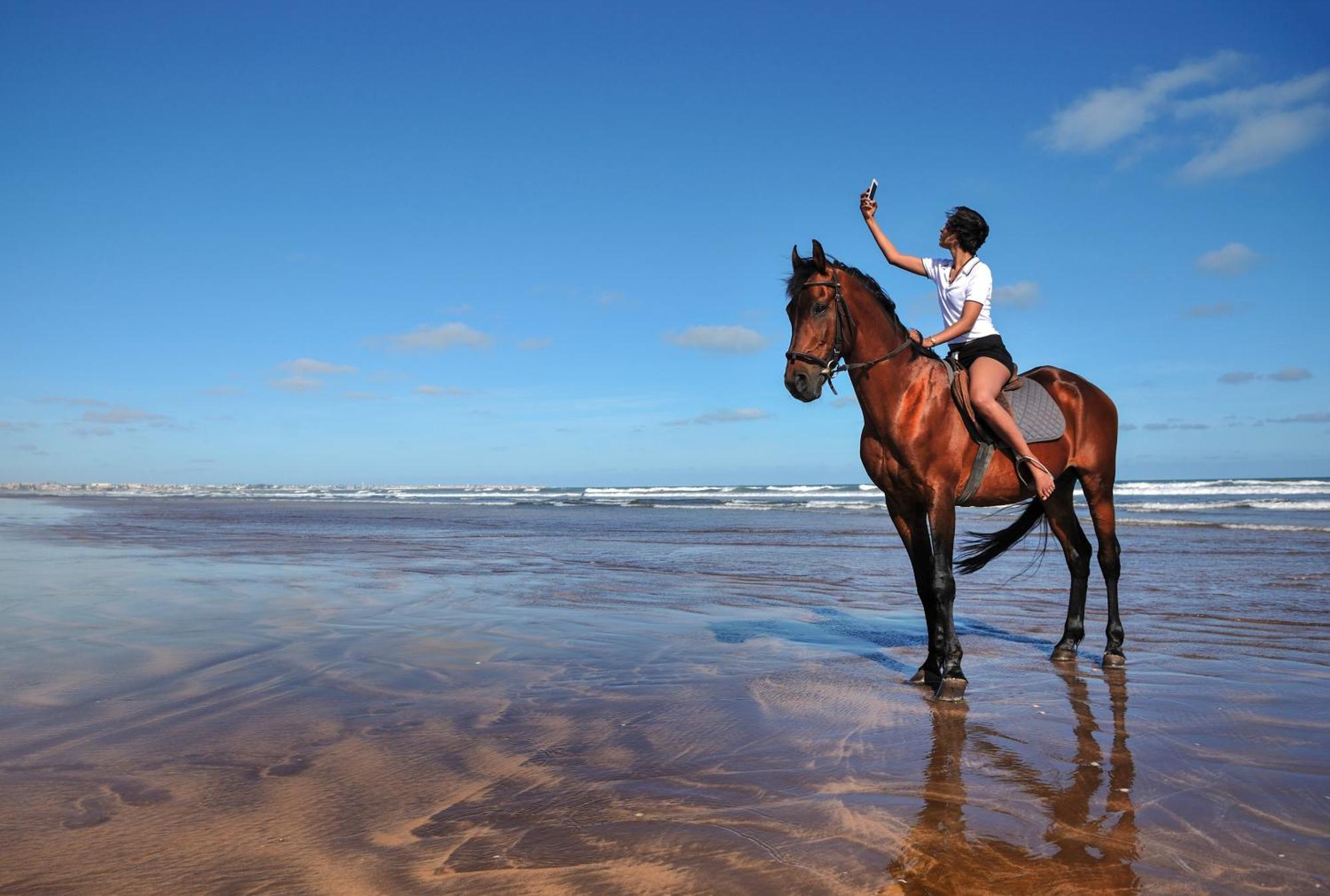 فندق بولمان مازاجان رويال جولف آند سبا الجديدة المظهر الخارجي الصورة A horse on the beach