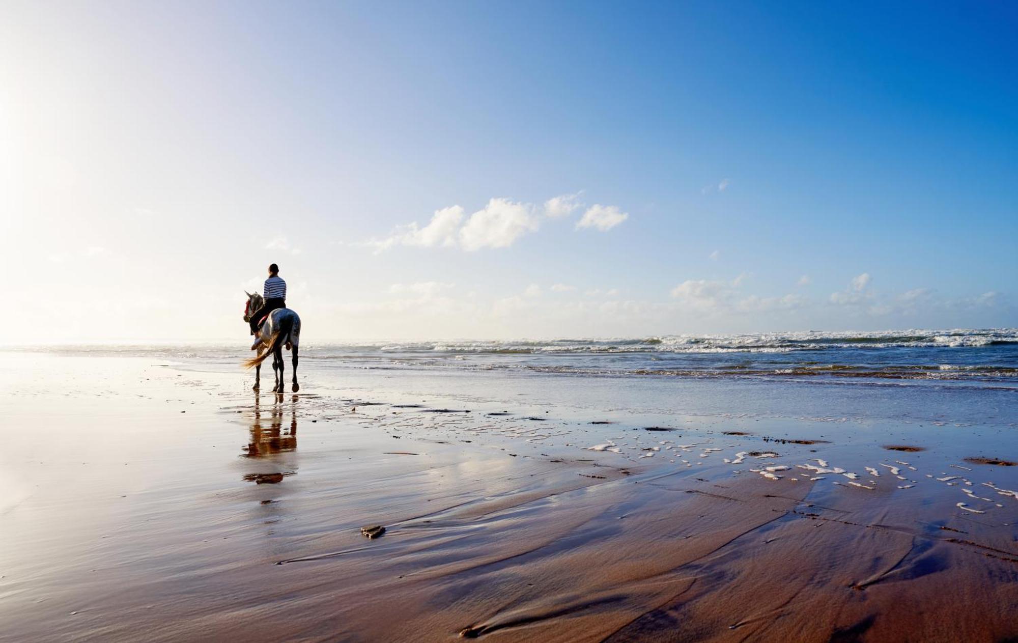فندق بولمان مازاجان رويال جولف آند سبا الجديدة المظهر الخارجي الصورة Beach in Tangier